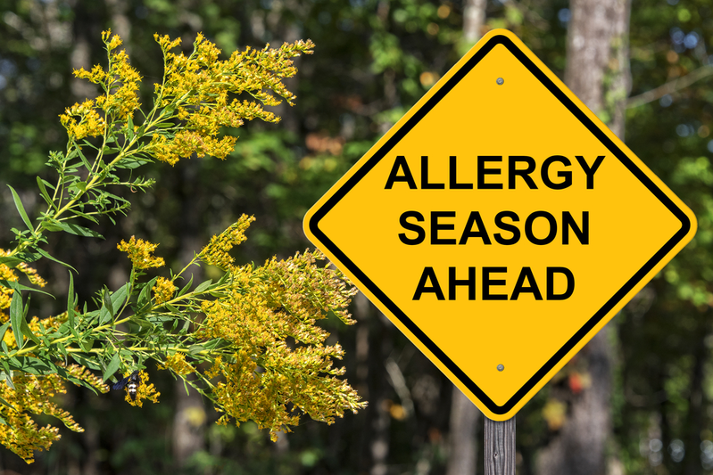 Answering the Top 5 Questions About Seasonal Allergies