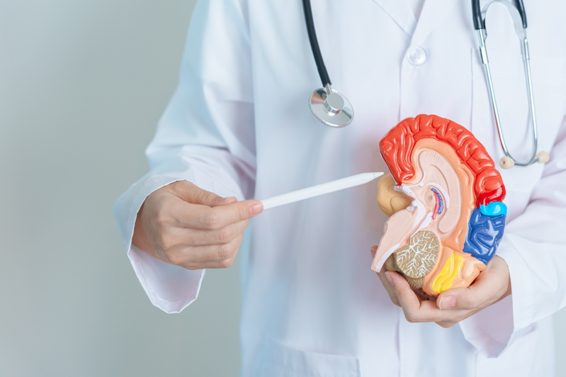 5 Best Brain Boosting Supplements