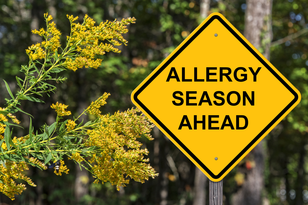 allergy season