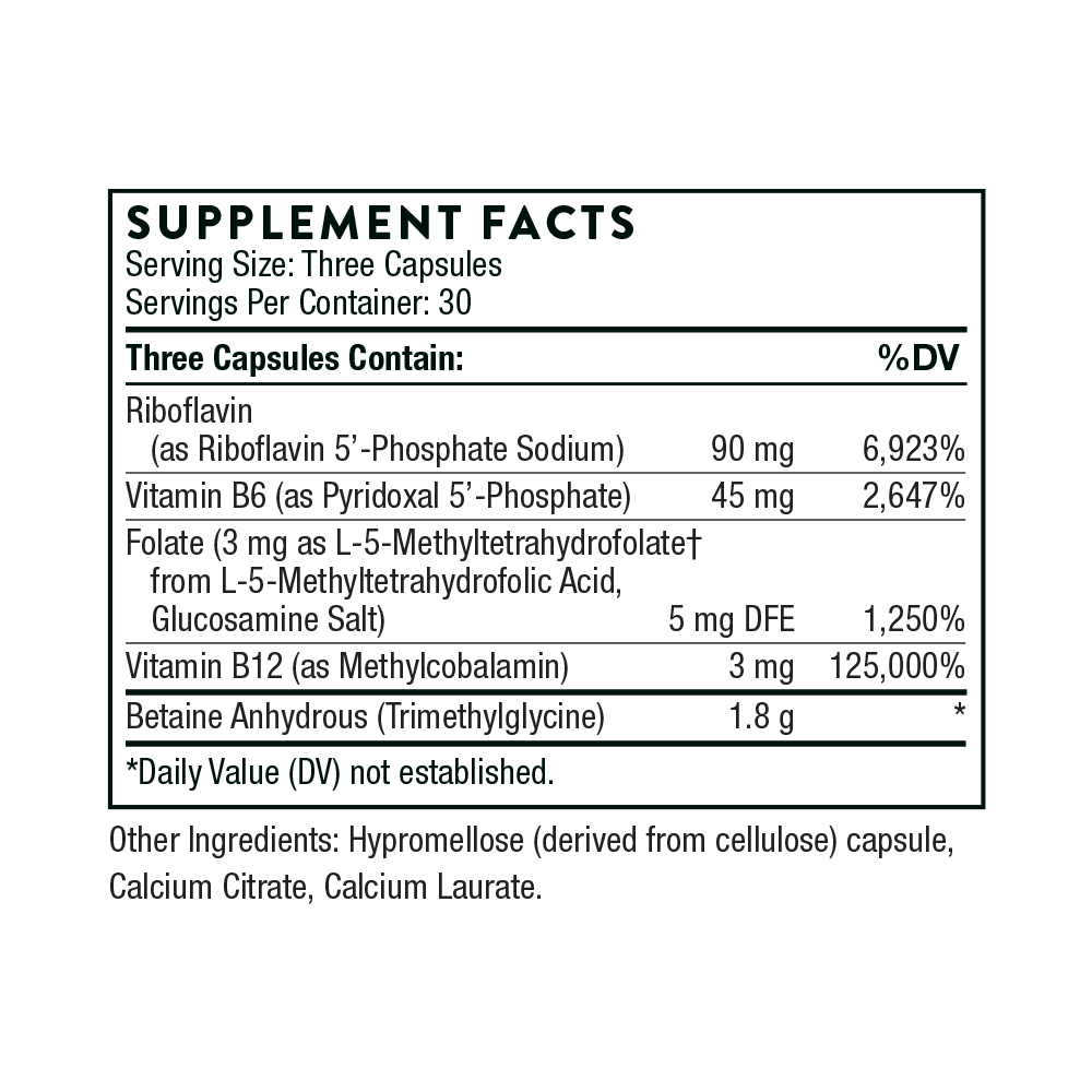 Methyl-Guard Plus - Image 2